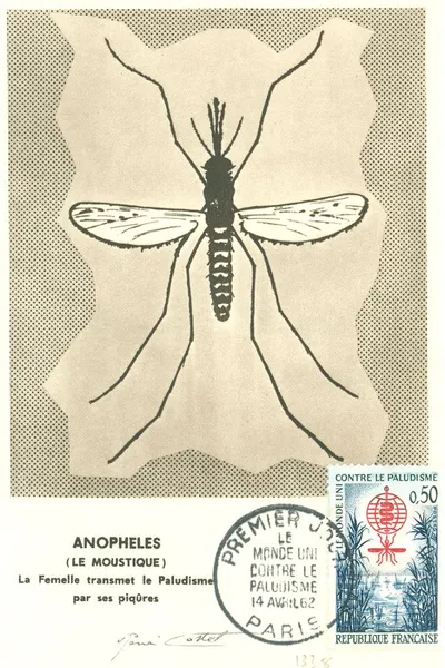 Carte maximum Manifestations et Evenements #12