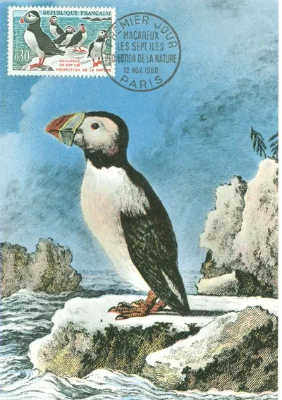 Carte maximum Nature et Environnement #2