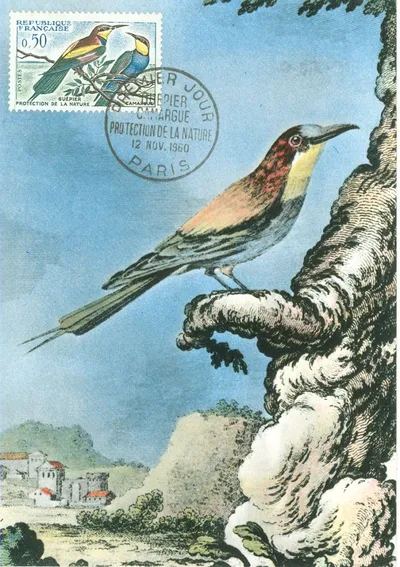 Carte maximum Nature et Environnement #4